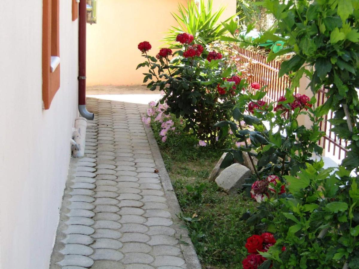 Olive Grove House Apartment Limenaria  Bagian luar foto