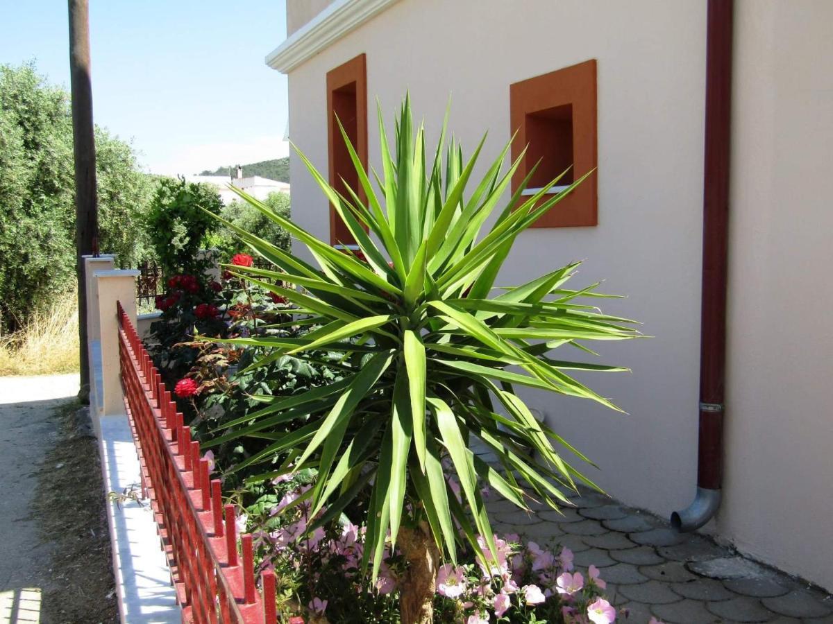 Olive Grove House Apartment Limenaria  Bagian luar foto