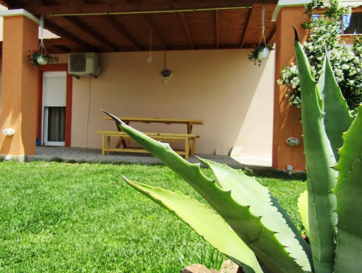 Olive Grove House Apartment Limenaria  Bagian luar foto